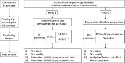 Objective evaluation of tongue diagnosis ability using a tongue diagnosis e-learning/e-assessment system based on a standardized tongue image database